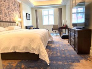 prinited nylon carpets
